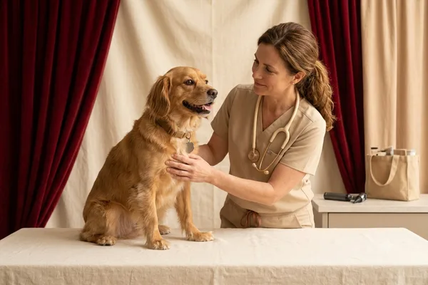 Consulta veterinaria